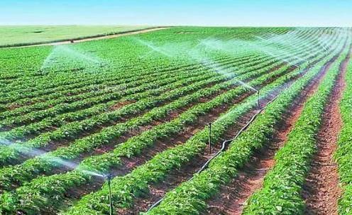 欧洲成熟老美女农田高 效节水灌溉